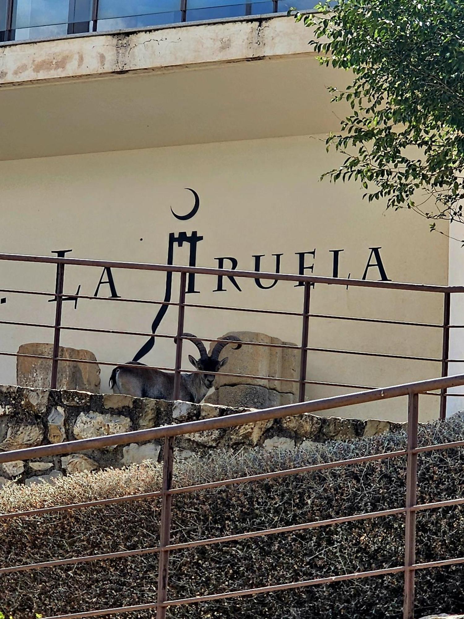 La Mocha Casa Rural La Casa De Ani 라이루엘라 외부 사진