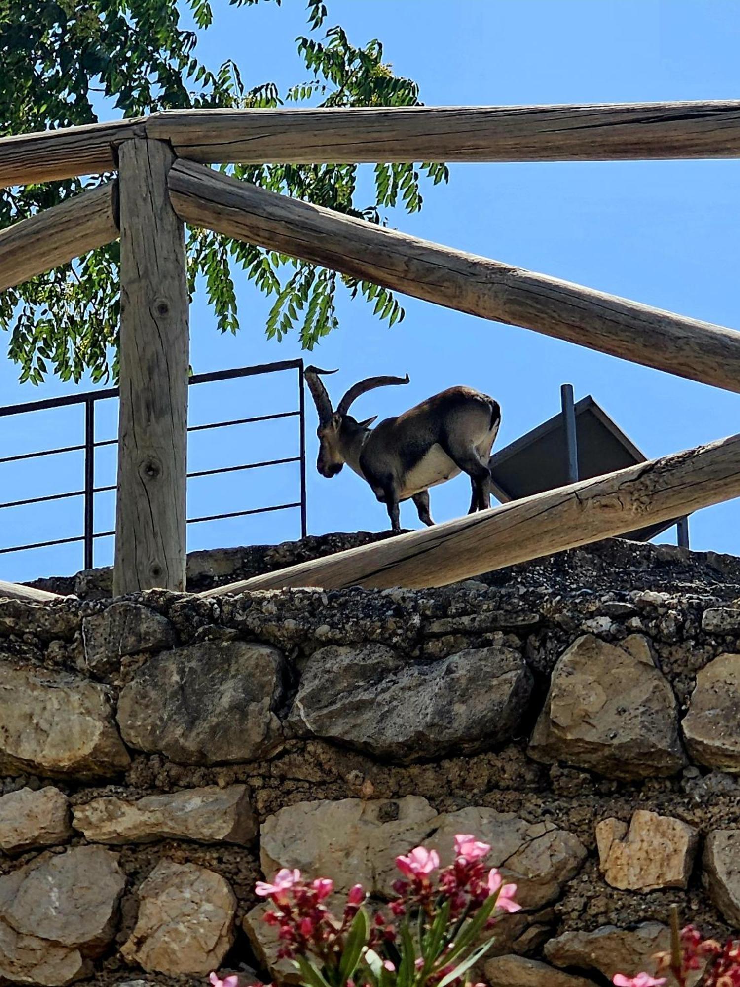 La Mocha Casa Rural La Casa De Ani 라이루엘라 외부 사진